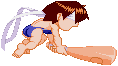 sakura-special.gif (1561 bytes)